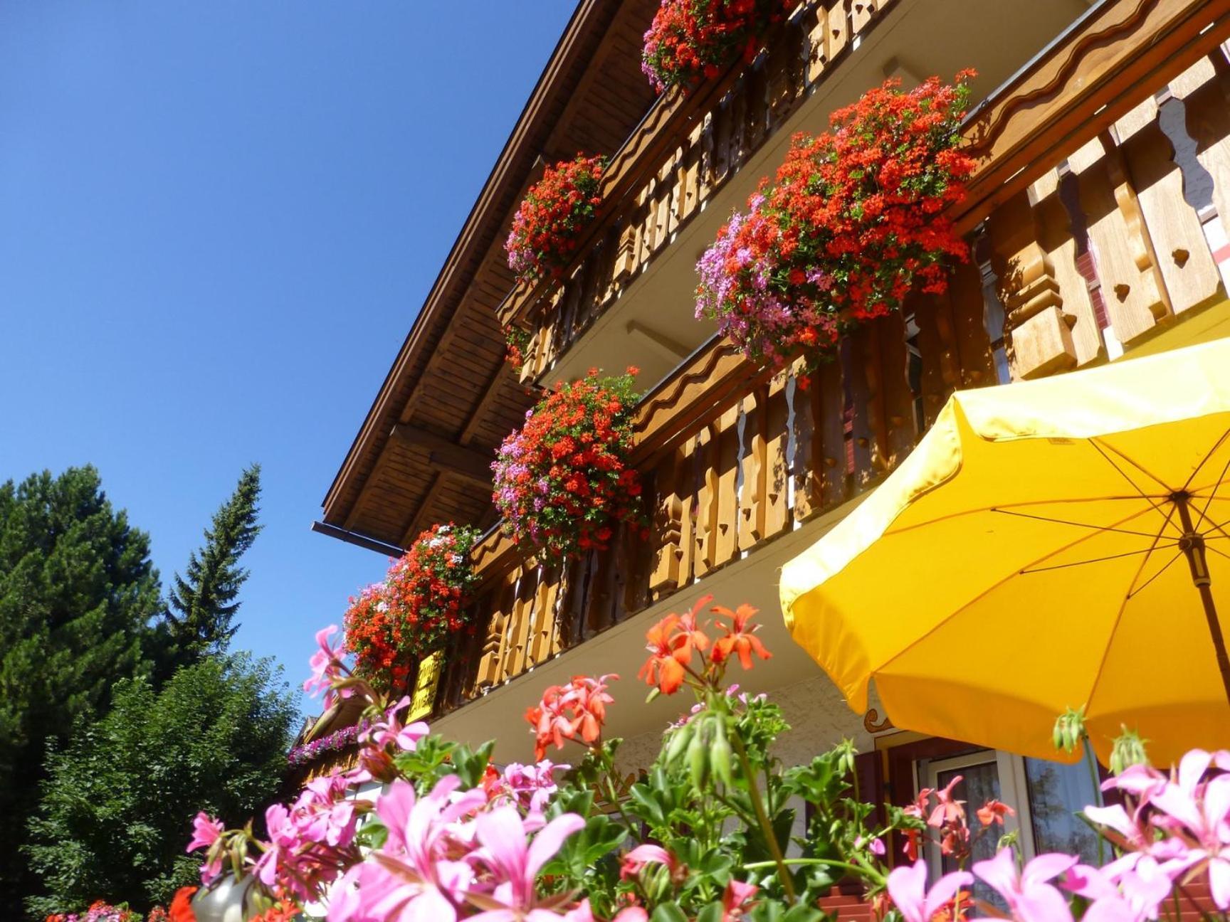 Garni Helfer Bed and Breakfast Toblach Buitenkant foto
