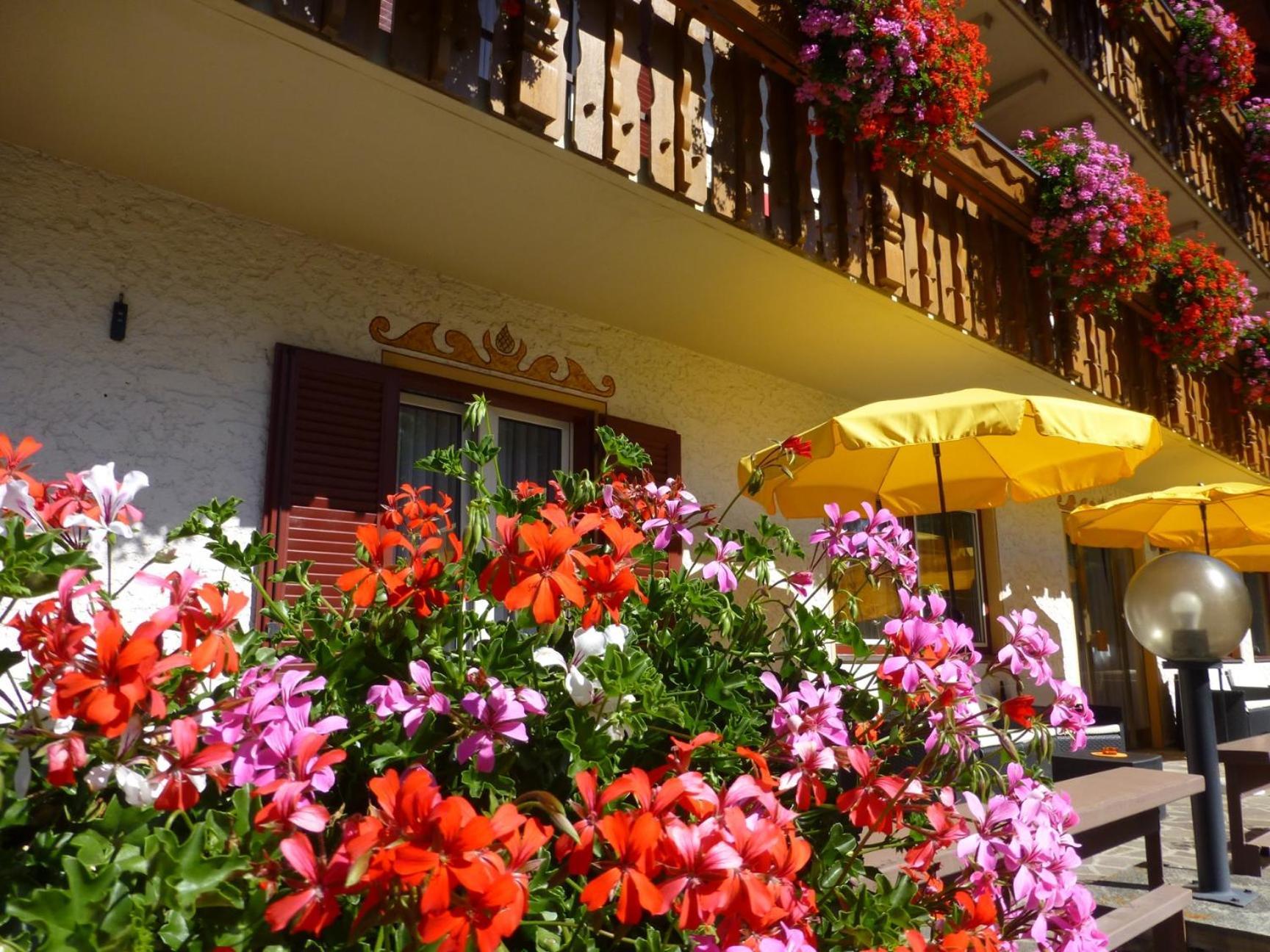 Garni Helfer Bed and Breakfast Toblach Buitenkant foto
