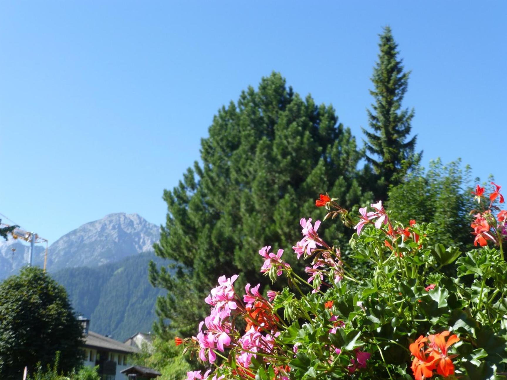 Garni Helfer Bed and Breakfast Toblach Buitenkant foto